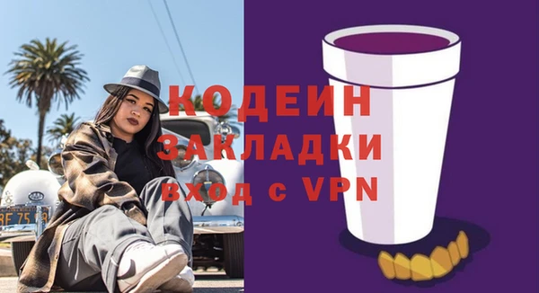 индика Абинск