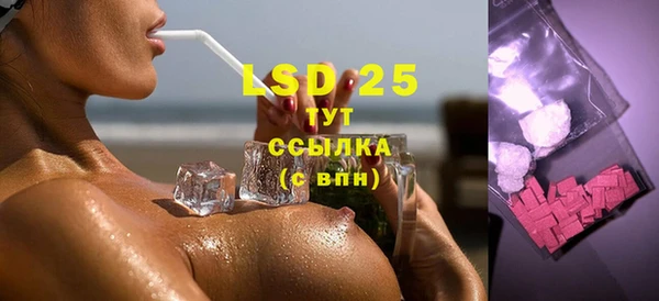 индика Абинск