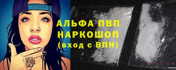 дживик Абаза