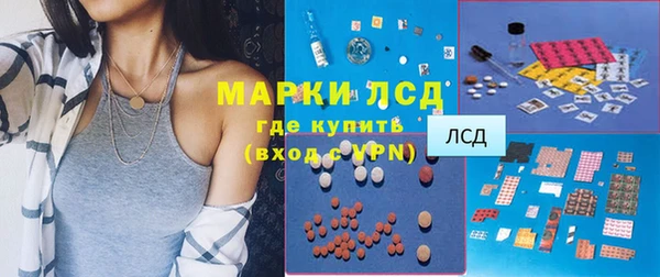 индика Абинск