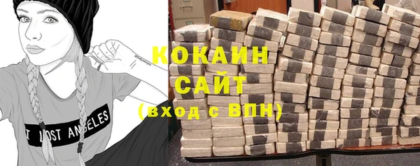 дживик Абаза