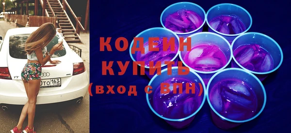 индика Абинск