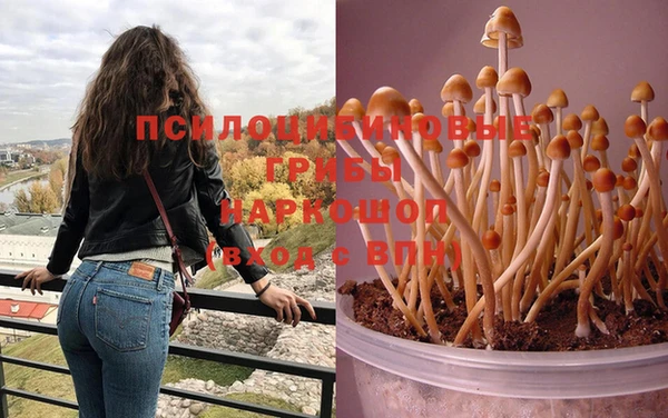 дживик Абаза