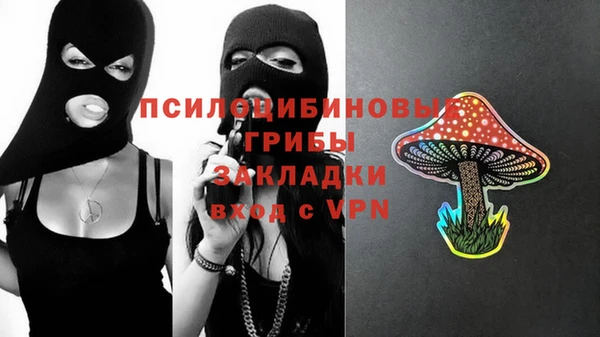 дживик Абаза
