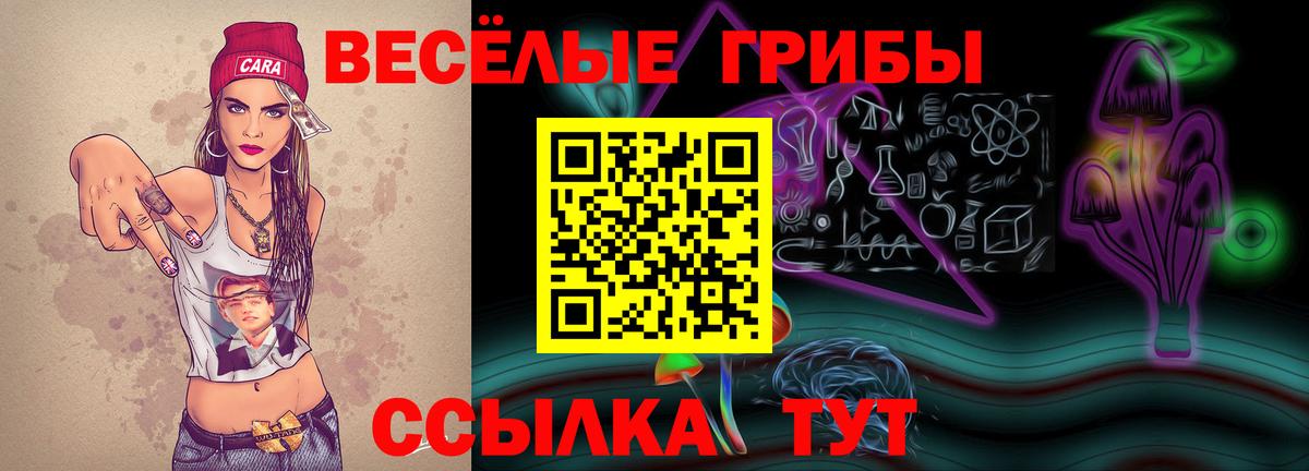 Псилоцибиновые грибы MAGIC MUSHROOMS  Вход с VPN  Псилоцибиновые грибы мицелий  Мурино 