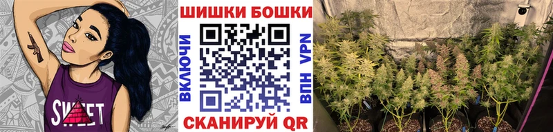 Шишки марихуана сатива  дарк нет телеграм  ОМГ ОМГ зеркало  Мурино  где найти наркотики 